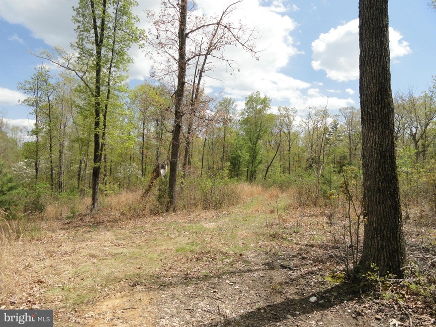 0 Meander Run Rd unit 1000402039, Madison, VA 22727 - photo 1