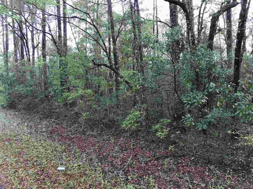 xx White Oak Dr, Crawfordville, FL 32327 - photo 1