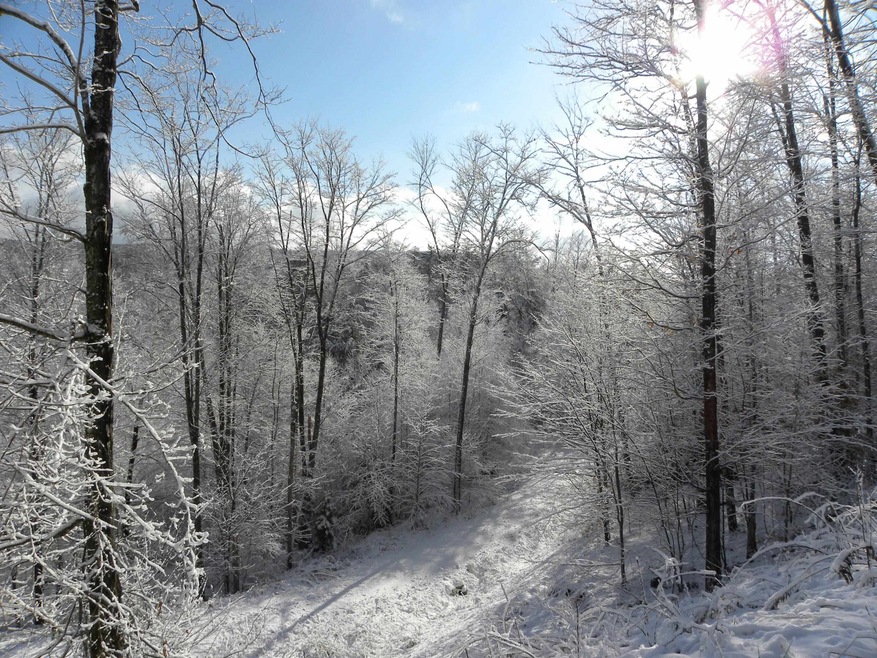 0 Sumner Rd unit Lot 7, Ludlow, VT 05149 - photo 1