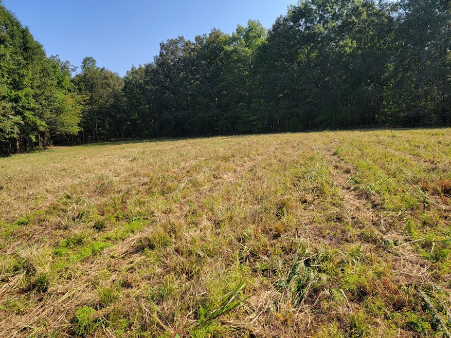 0 Farrrah Hill Rd, Manchester, TN 37355 - photo 1