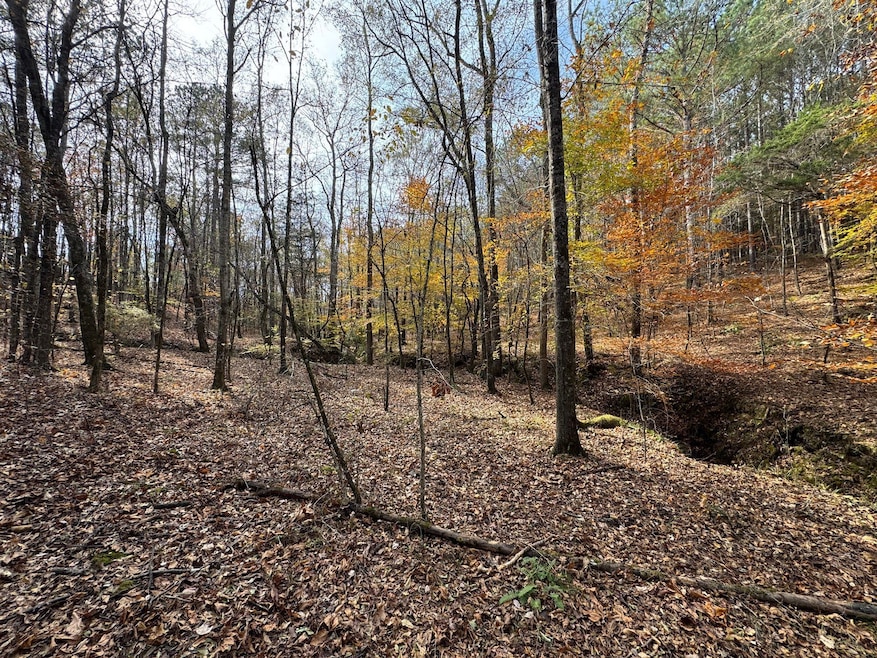 Middelton Rd, Elberton, GA 30635 - photo 1