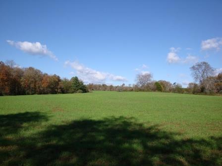 Farm 10-21-14-1118