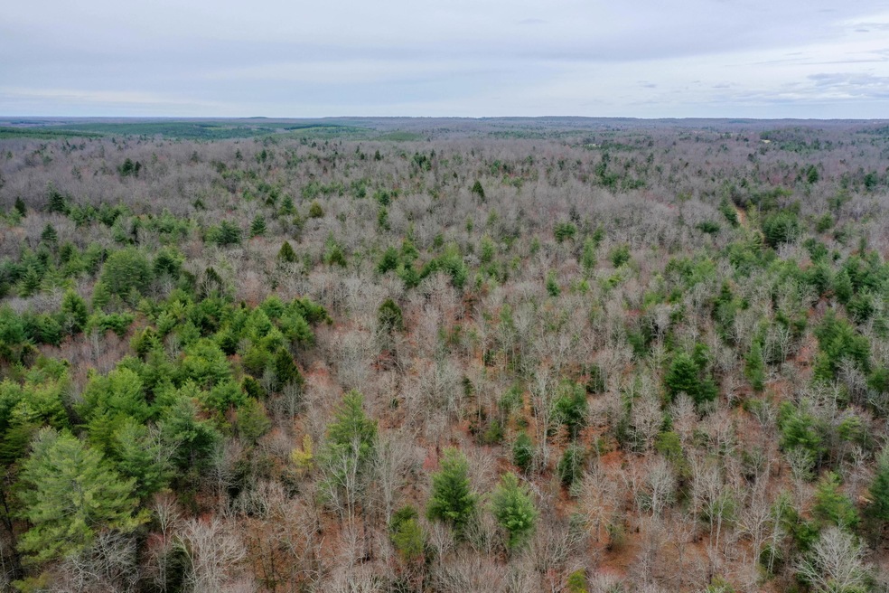 DJI_0404