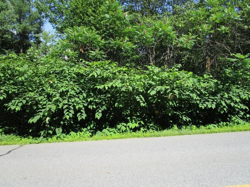 Land/Lot