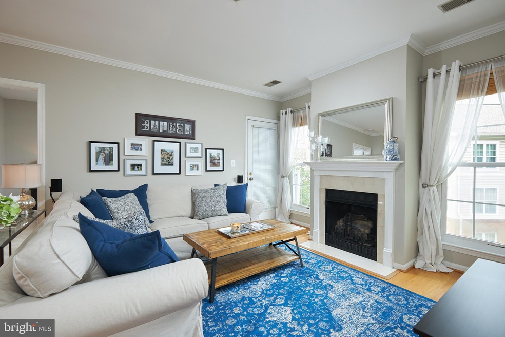 The Pavillion unit 306, Falls Church, VA 22043 - photo 1