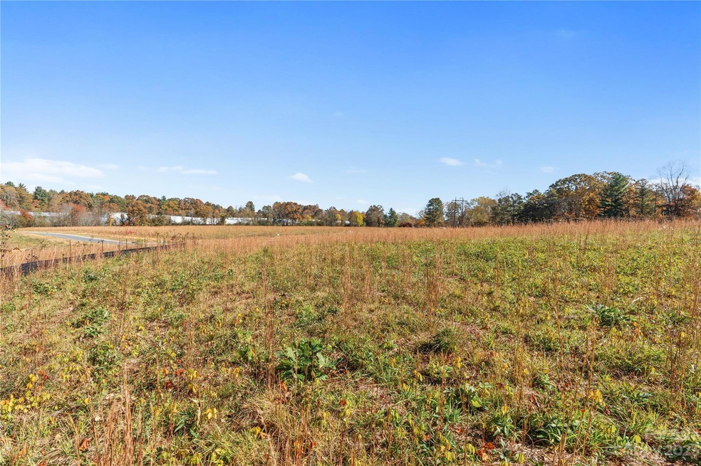 86 Scott Meadows Dr, Asheville, NC 28806 - photo 1