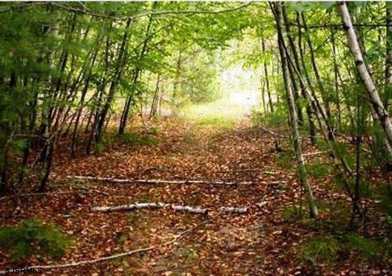 0 Landis unit 492792, Mays Landing, NJ 08330 - photo 1