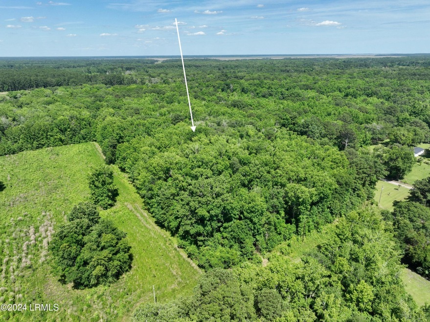 dji_fly_20240530_153900_438_171709835154