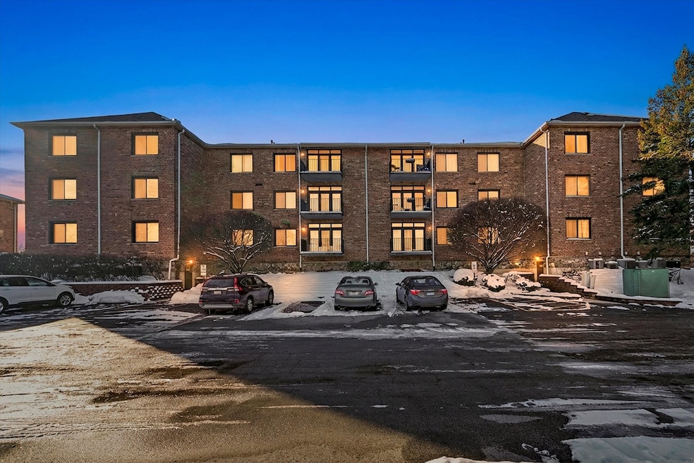 11001 Deblin Ln unit 203, Oak Lawn, IL 60453 - photo 1