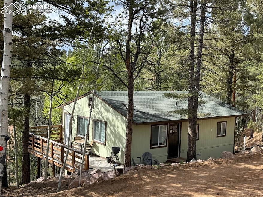 577 Horseshoe Dr, Divide, CO 80814 - photo 1