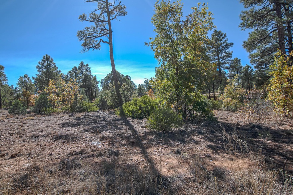 401 E Huckleberry Ln, Show Low, AZ 85901 - photo 1