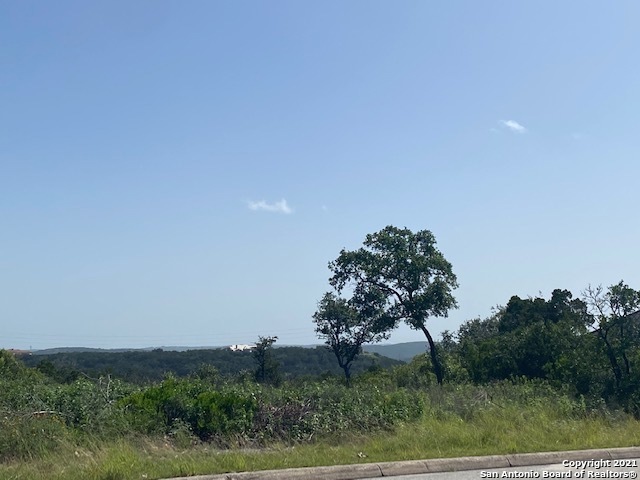 14702 Iron Horse Way, Helotes, TX 78023 - photo 1