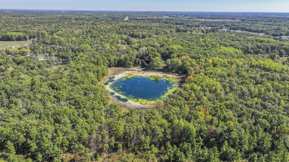 9411 Maple Hill Rd, Howard City, MI 49329 - photo 1