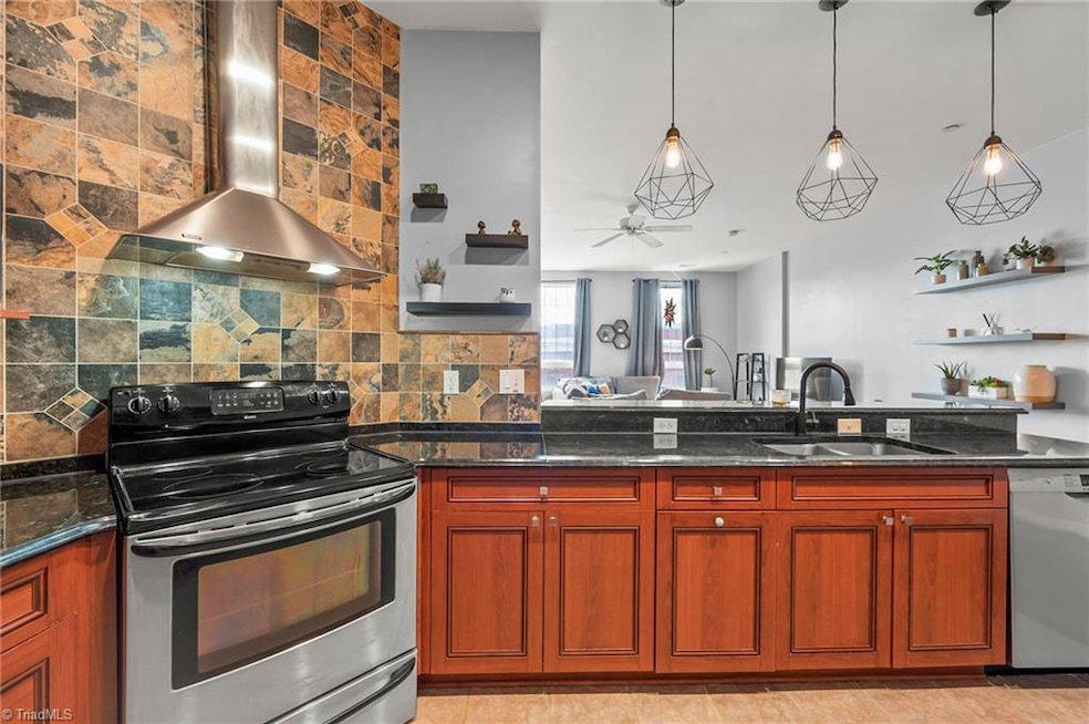 360 S Elm St unit 202, Greensboro, NC 27401 - photo 1