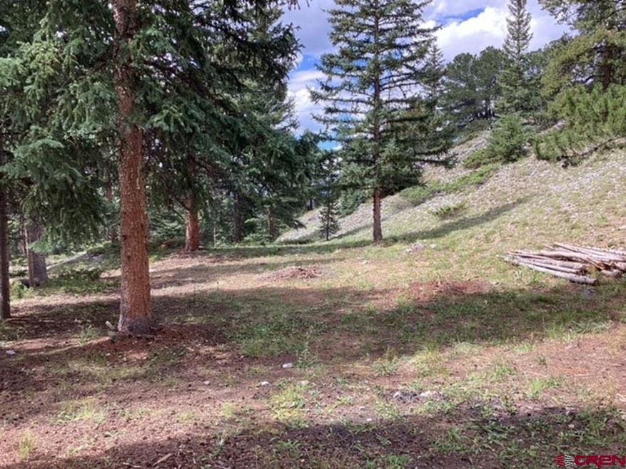 377 Royal Rd, Pitkin, CO 81241