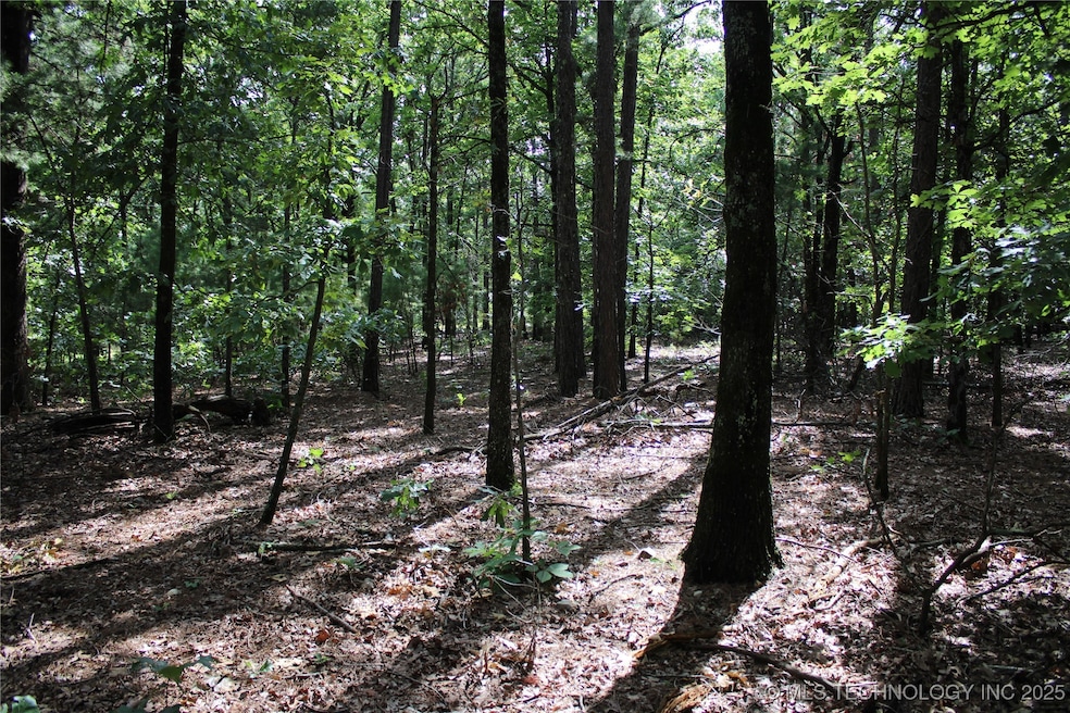 617 U S 59, Jay, OK 74346 - photo 1