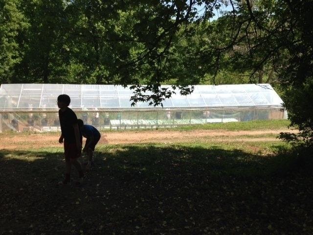 Carousel Image