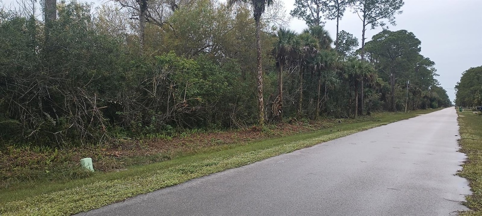 unlisted-address, Rural Estates, FL 34120 - photo 1