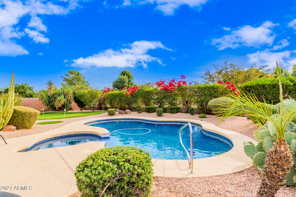 Amazing Backyard
