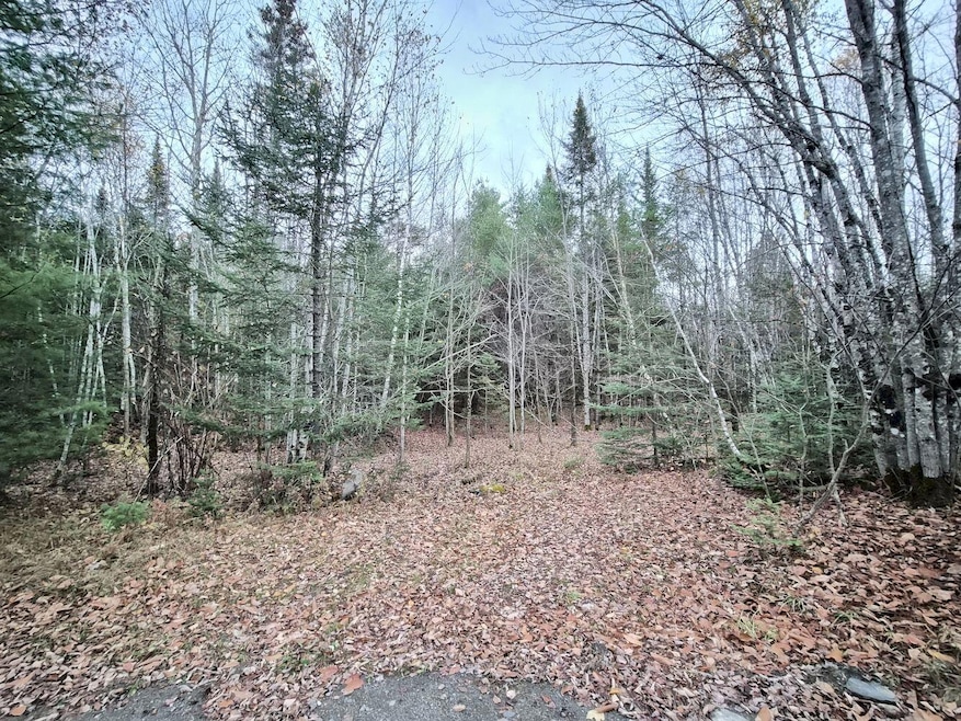 20251023_173956_result