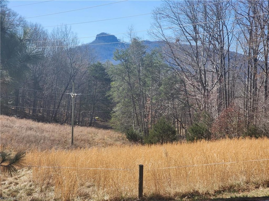 00 Golf Course Rd, Pilot Mountain, NC 27041 - photo 1