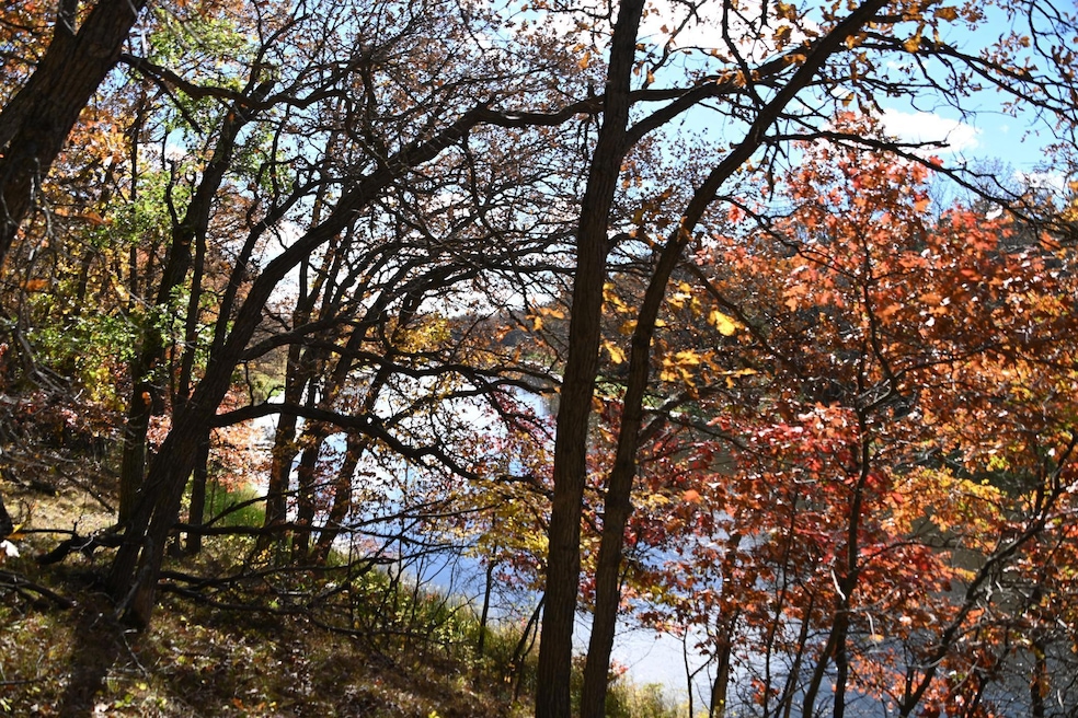 38869 Odin Ct, Ward Township, MN 56438 - photo 1