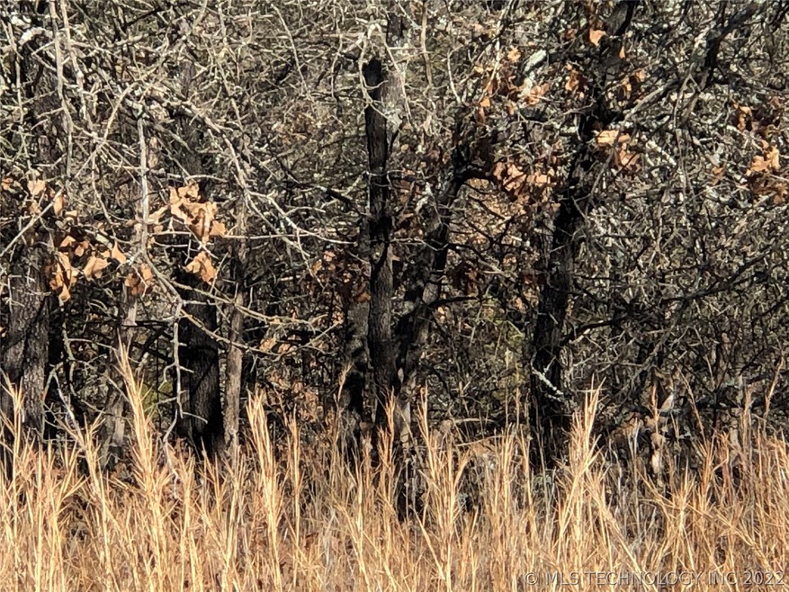 0 Cabiness Rd unit 1909966, McAlester, OK 74501 - photo 1