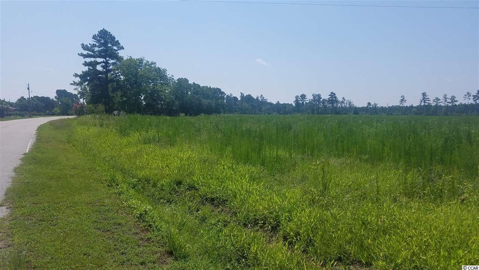 18.03 Acres Fowler Rd, Conway, SC 29526 - photo 1