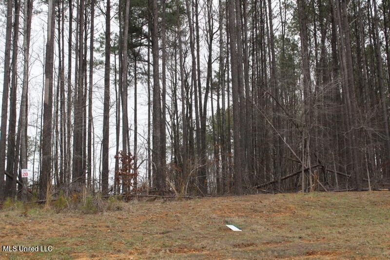 0 Ella Ln unit 4105809, Byhalia, MS 38611 - photo 1