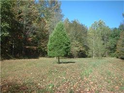 1 Les Ferrell Rd, Stewart, TN 37175 - photo 1