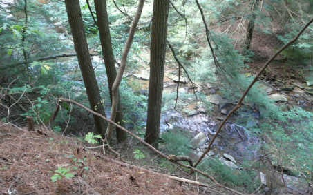 Main View