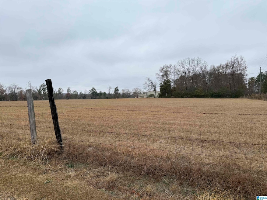 325 Washington Ave, Wellington, AL 36279 - photo 1