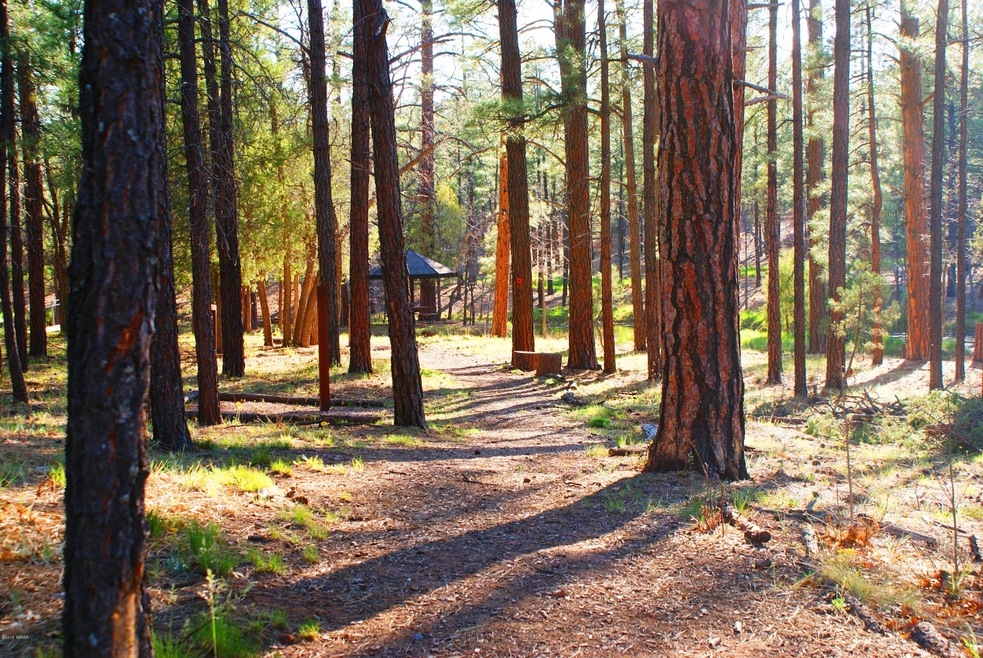 4460 S Elk Trot Loop unit Lot 60, Show Low, AZ 85901 - photo 1