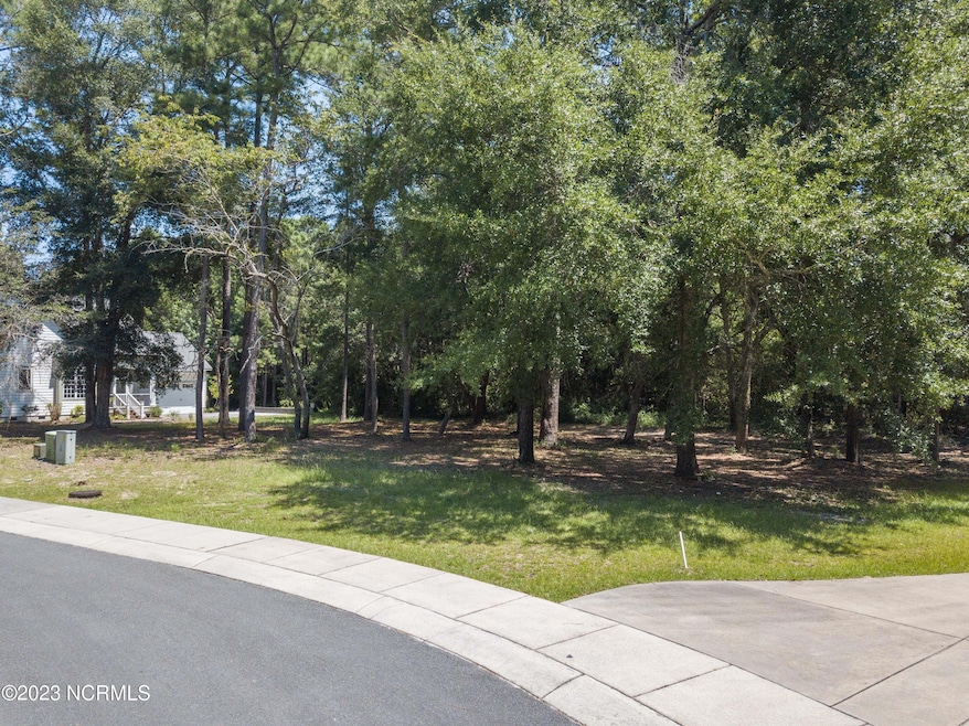 9136 E Bramshill Rd SW, Calabash, NC 28467 - photo 1