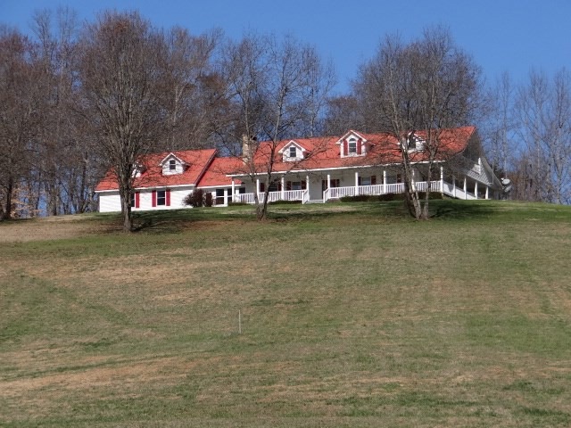 Main View