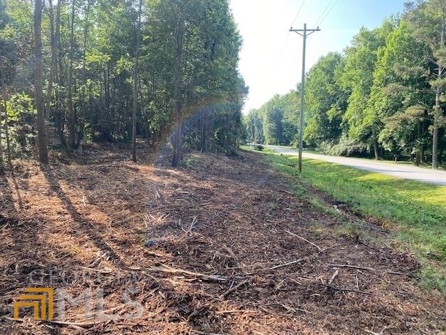 0 Indian Creek Rd unit TRACT 2 20046711, Bowdon, GA 30108 - photo 1