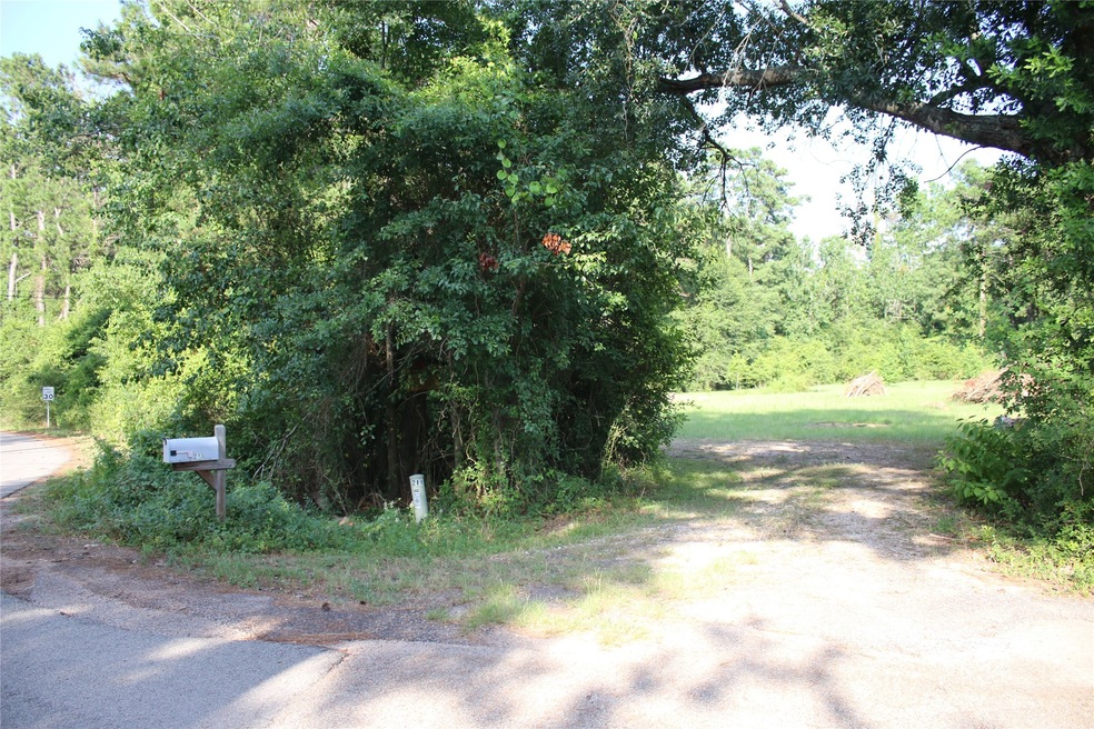 218 Dogwood Trail, Magnolia, TX 77354 - photo 1