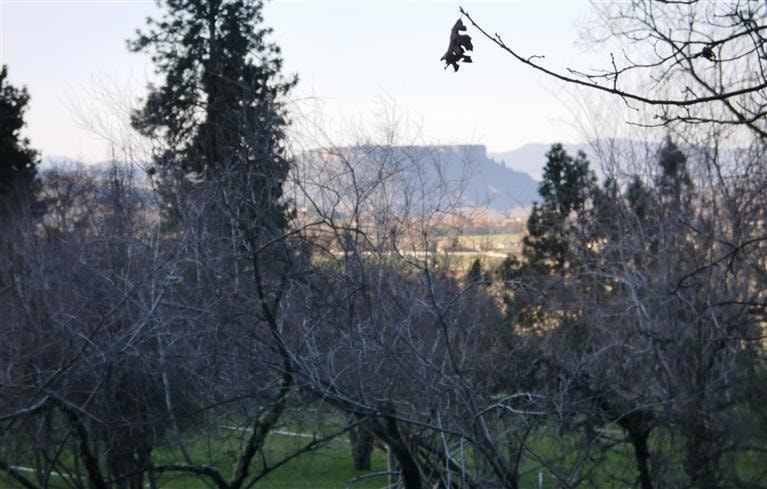 4155 Old Stage Rd, Central Point, OR 97502 - photo 1