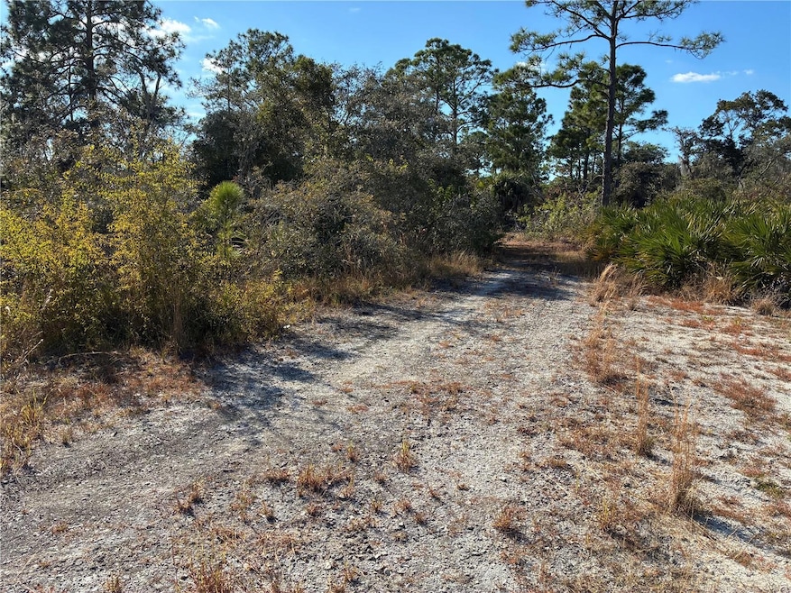 321 Showboat Ave, Lake Placid, FL 33852 - photo 1