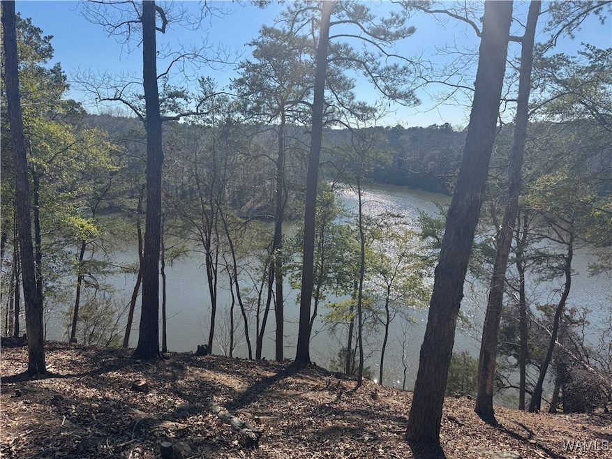 300+ FEET OF WATERFRONT