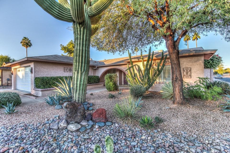 IMG_6526_7_8_tonemapped-1
