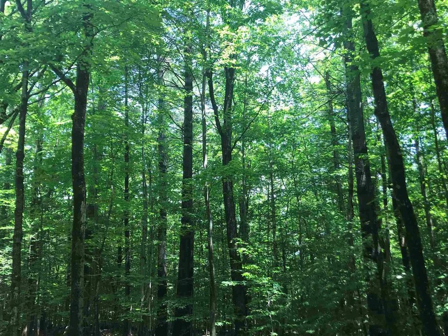 0 Sleeper Rd unit 4863849, Hillsboro, NH 03244 - photo 1