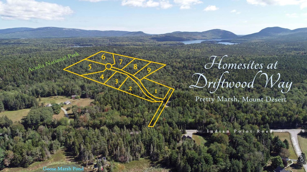 driftwood way cover