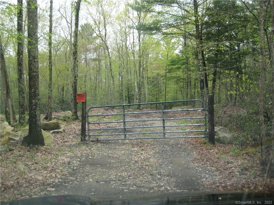 62 Swedetown Rd, Pomfret, CT 06259 - photo 1