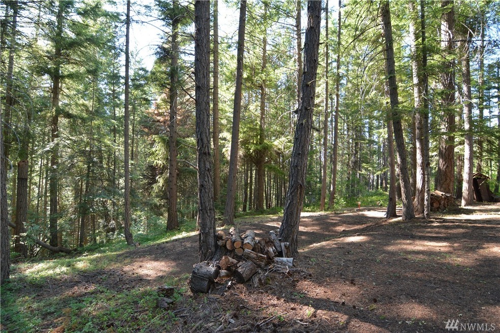 0 Bunker Rd, Ronald, WA 98922 - photo 1