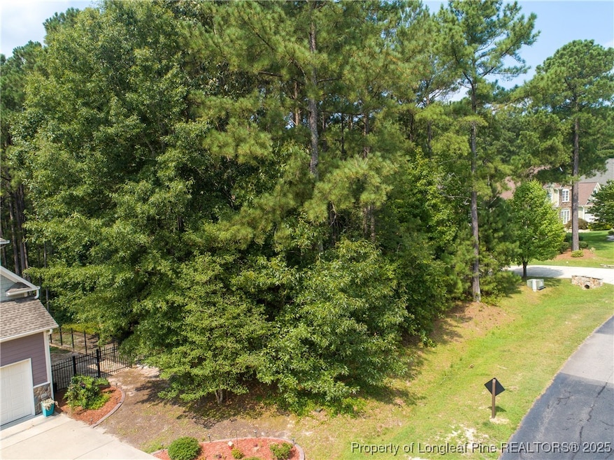 35 Barons (112) Run W, Spring Lake, NC 28390 - photo 1