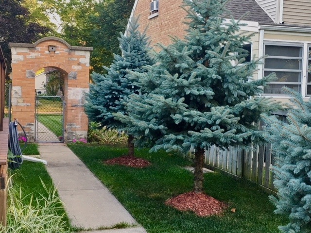 1592 E Walnut Ave, Des Plaines, IL 60016 - photo 1