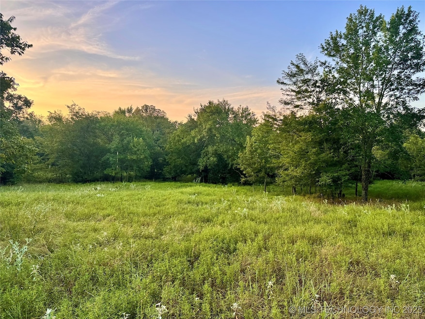 0 Deer Run unit 2532000, Hugo, OK 74756 - photo 1