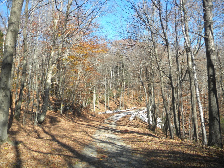 Acreage and Seclusion