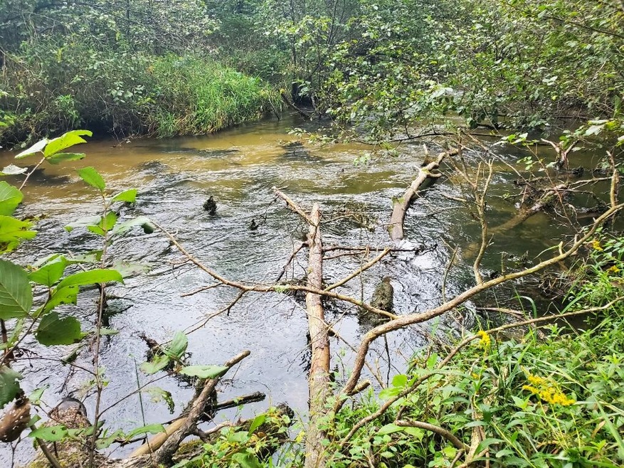 00 Parkside Ave, Yates Township, MI 49642 - photo 1